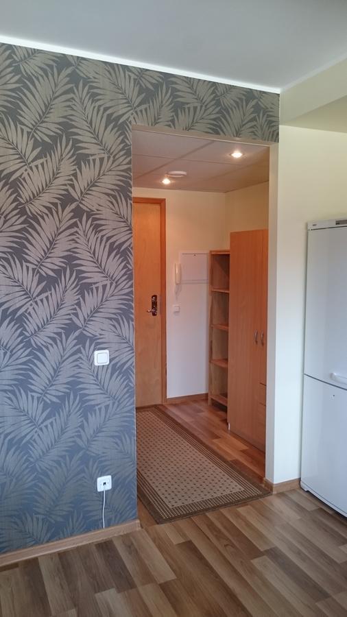 Paernu City Center Apartment المظهر الخارجي الصورة
